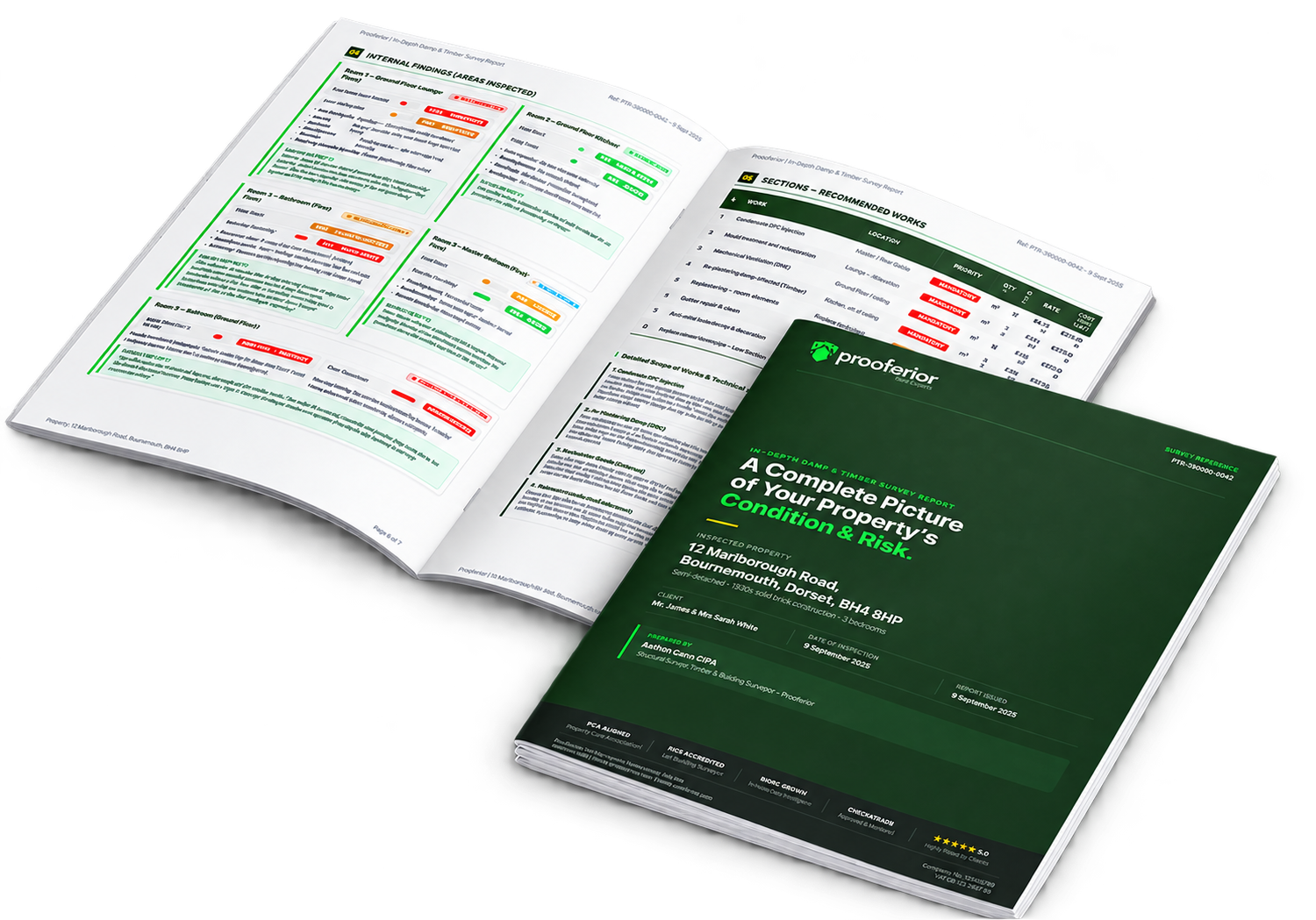 Example Proofterior in-depth damp and timber survey report